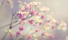 你的班级口号可以有多炫?!尽情展现团队气质,展示班级风采,选出最炫口号,16字就够了!