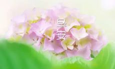 高情商者的每日工作:分享60句高情商早安问候语