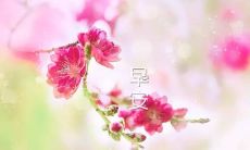 2022年的早晨问候语:如何用最简单、最有力的话语表达最深切的祝愿?