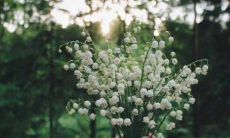 霸气十足的队名口号大全,共计16个字,让你的球队更有个性和战斗力!