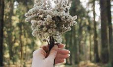 不住内心澎湃想唱响,包罗万象的竞赛格言和口号大合集,鼓舞人心,震耳欲聋!