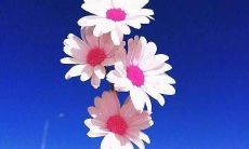 展现实力的必胜口号大全,拥有霸气十足的独特魅力