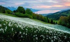 初一班级:我们的口号不只是简单的宣言,它还富有诗意、流畅押韵!