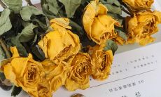 富有情感的语句缩减：引人动情的语录变化