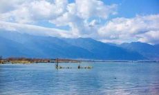 ！保险公司团队口号彰显威猛气质，彰显巨大自信！