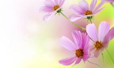 怀念母校，感激其中的生活经历和带给我的变革与人生启示！