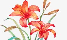 富有激情的助威口号，激励比赛中的选手加油！