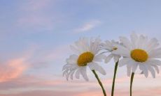 、感人，让你深切感受友谊的重要性和美好，令人动容的友情赞美语句