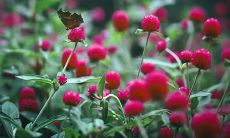 一副友情的艺术画卷中嵌入了精美的文艺句子，倾诉着内心流淌的情感与思绪