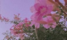 2022年即将到来,最暖心的话语必读!