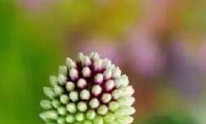 盘点霸气十足的比赛口号,游戏口号大全来袭!