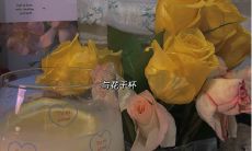 2022 跨年文案在小红书上的分享:精选多款创意句子,帮你为新年写下最动人的启示!
