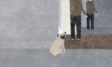 感到失望的话题：失望于血缘关系的痛苦之旅