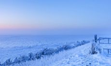 压抑情绪的解释语句让人感到焦躁不安