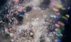 宁静而怀念的，不敢打扰的句子