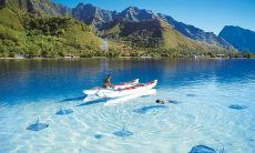 欢庆2021，迎接新年全新气象：聚焦希望、激发活力， embrace 未来的新口号！