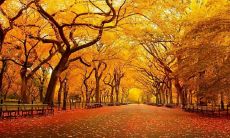 五一假期客户问候短信：表达真挚关怀，拉近合作距离