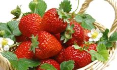 在采摘草莓时畅快快乐的心情,能够带给我们无限的喜悦与满足感