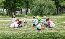 精选幼儿在幼儿园里无限快乐的表述,描述幼儿园孩子嬉戏玩耍的状态