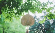 表达感恩之情的一些深刻而动人的句子，旨在提醒人们要在日常生活中关注身边的美好，珍惜所拥有的一切，并不断感恩回报