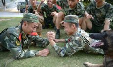 重温老山战友情:一组经典句子,难忘共同经历与珍贵友谊