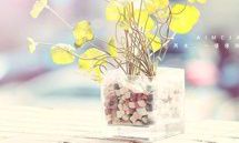 文集锦——感动心灵的关于家人和朋友的表达