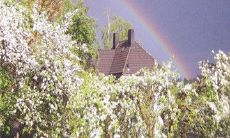 焦虑不安的心情:探讨背叛友情的句子,表达内心真实感受