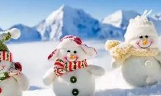 冬季寒冷来袭！与您分享我对这个季节的独特感受、经验和见解的朋友圈说说