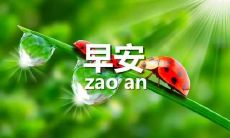 如何撰写一封充满诚挚感和积极气氛的早间问候短信给领导？