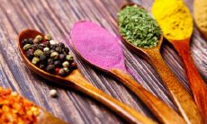 十个幽默句子,让您轻松调动老板心情,收获工作中更多的欢笑与信任