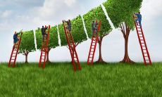 为祝福公司持续蒸蒸日上、不断增长壮大而送上我们诚挚的祝愿