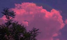 用正能量的可爱短句搞笑的一种方式