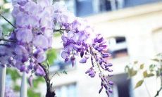 用比喻鞋带的方式来表述友情的深度和紧密程度