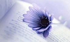 在时光蹉跎中寻找那些充满温暖的回忆，回味那些令人感动的友情时刻，一起探索那些让人回味无穷的友情佳句