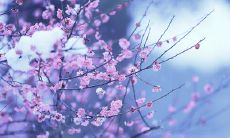 一生难忘的友谊:流淌着真挚情感的句子