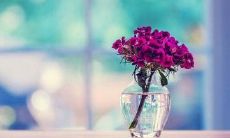 逐渐加深交情的一连串引人深思的话语