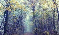 用霸气句子表达珍惜友情的 QQ 标语