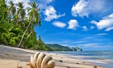 疲惫不堪心情低落:如何用语言准确地表达自己感受到的身体疲劳和心理疲惫?