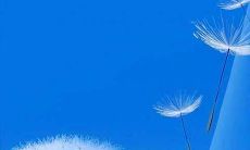 深刻反思友情的现实意义,从一个句子中引发的感慨与思考