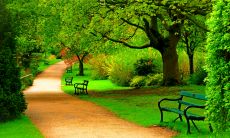 在清明节过后向亲友们发送特别的问候短信，表达你的关心和思念之情