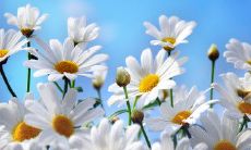 寻找快乐和幸福的方式——探索带着愉悦情绪的语句