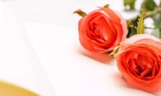 最令人动容的英语情话，让你感动至内心深处的语言表达