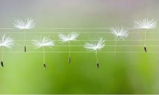 在欢乐的时刻,描绘那让人心旷神怡的和风吧