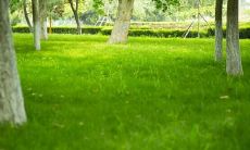 深感不慎进入错误领域而产生的痛悔之情的表达句子