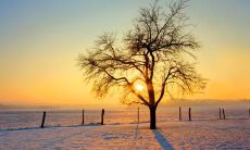 用鼓舞人心的话鼓励每个不开心的人走过难关