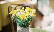 分享自己心情的句子,展现愉悦阳光的情绪状态