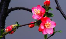 遭受亲人疏离的痛苦:揭示亲情淡漠的言语表达