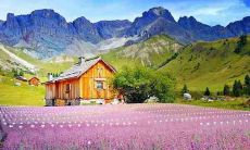 探究佛经中关于友情的表述:探寻佛教文献中发现的关于人际关系与友谊的教诲和引述