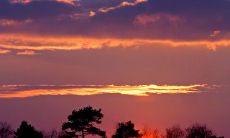 懊悔内心煎熬，深刻体验心理不适之苦