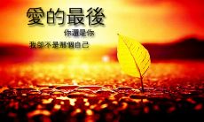 诉说内心的遗憾和懊悔，最终感慨深深地说出那句最后悔的话语